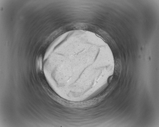 X0000081570046200702051225