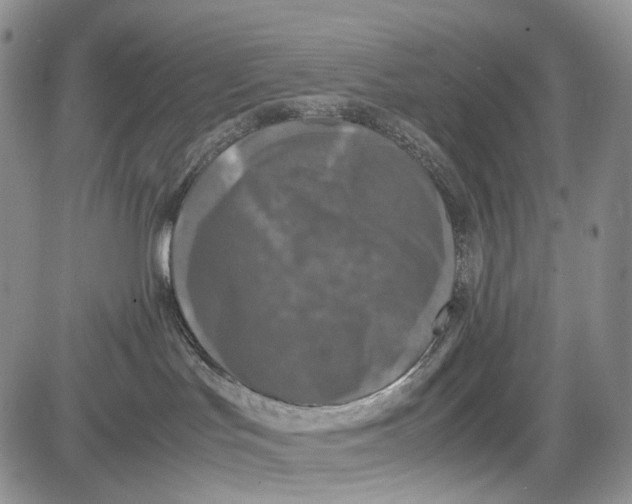 X0000081570047200702051225