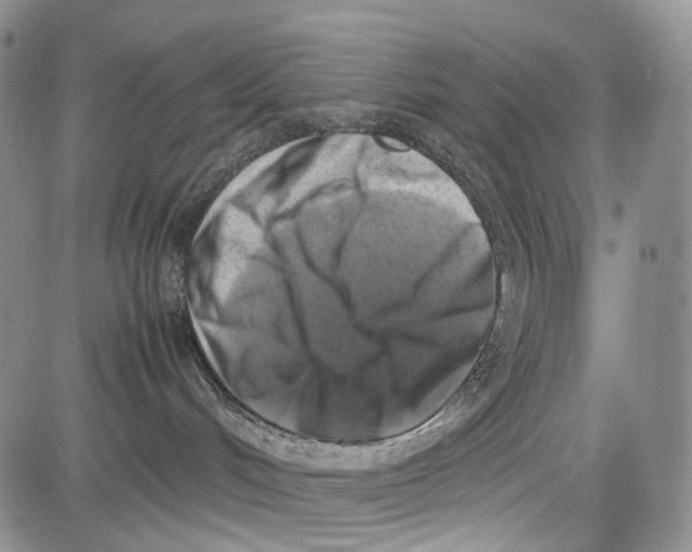 X0000081570048200702051225