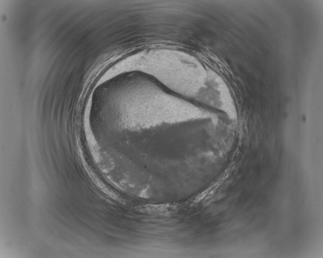 X0000081570049200702051224