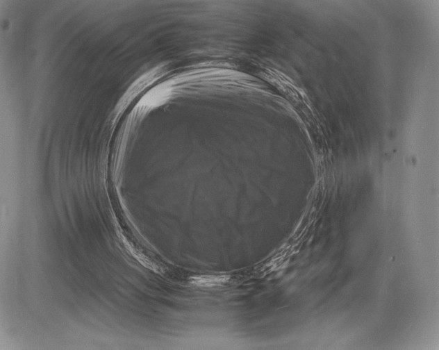 X0000081570051200702051224