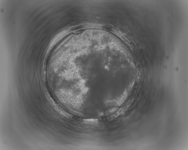 X0000081570053200702051224