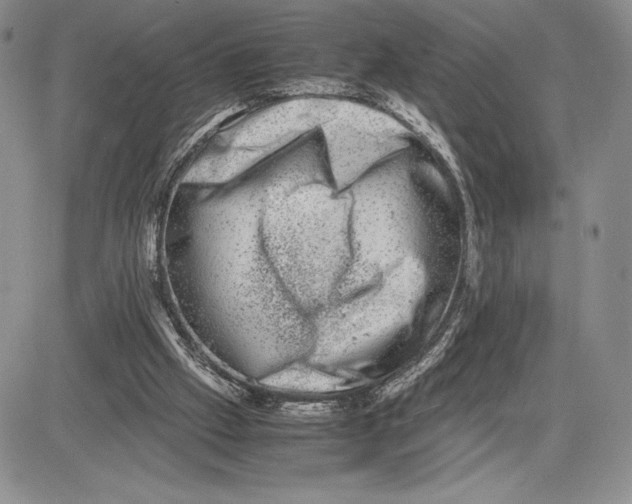 X0000081570057200702051224