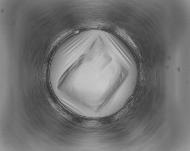 X0000081570058200702051224