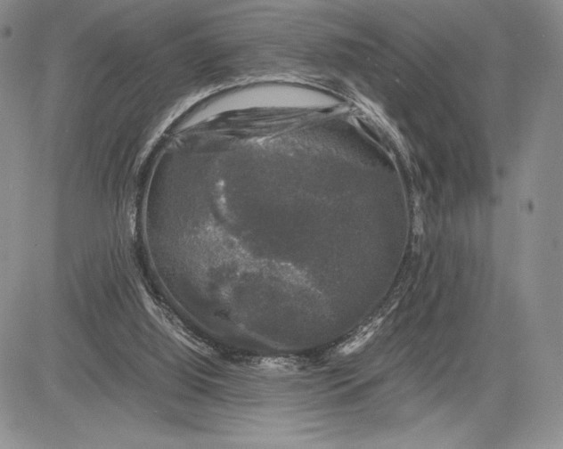 X0000081570060200702051224