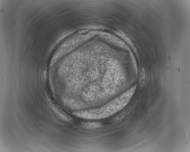 X0000081570063200702051224