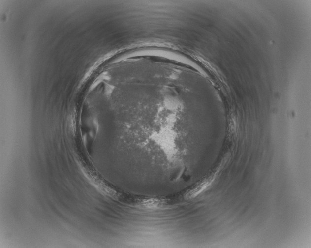 X0000081570064200702051224