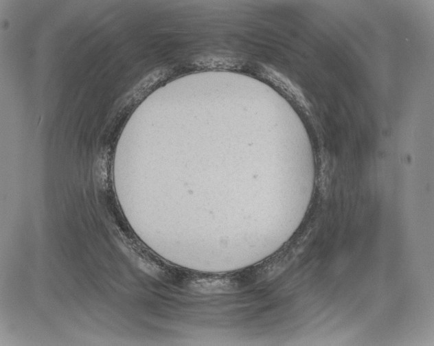 X0000081570065200702051224