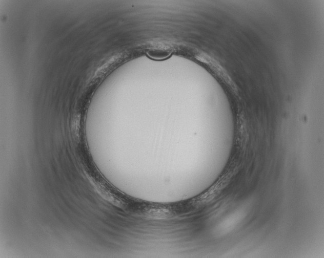 X0000081570066200702051224