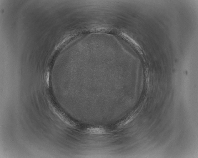 X0000081570067200702051224