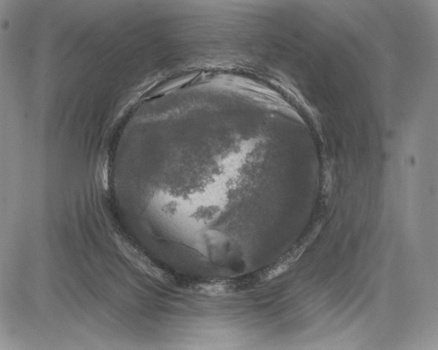 X0000081570068200702051224