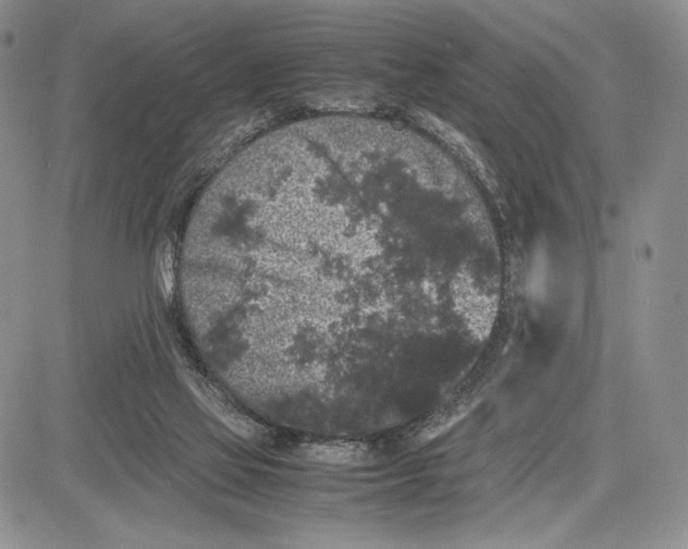 X0000081570069200702051224