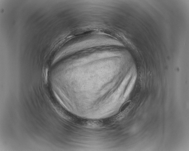 X0000081570070200702051224