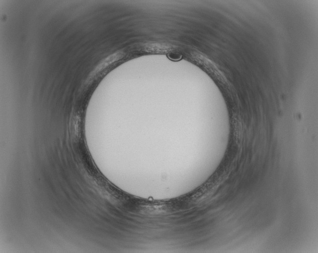 X0000081570071200702051224