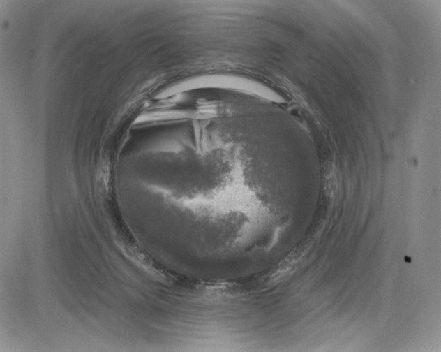 X0000081570072200702051225