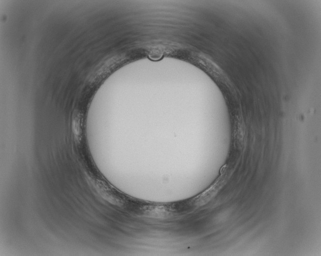 X0000081570074200702051225