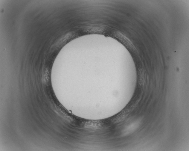 X0000081570077200702051225