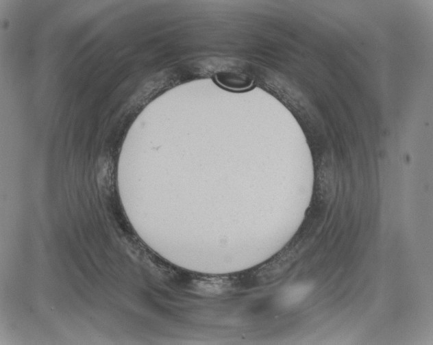 X0000081570079200702051225