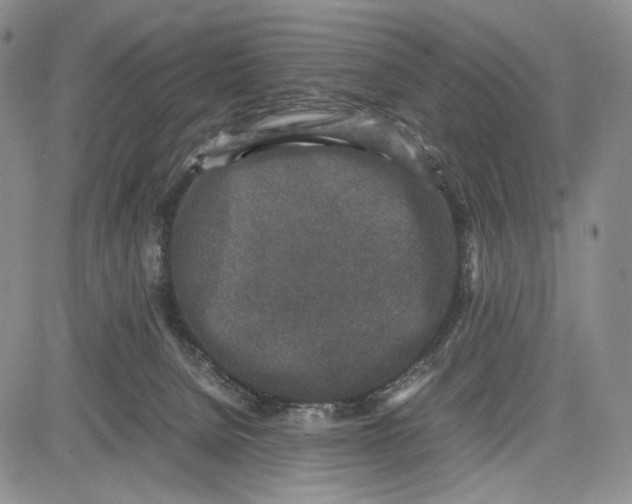 X0000081570080200702051225