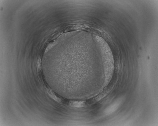 X0000081570081200702051225