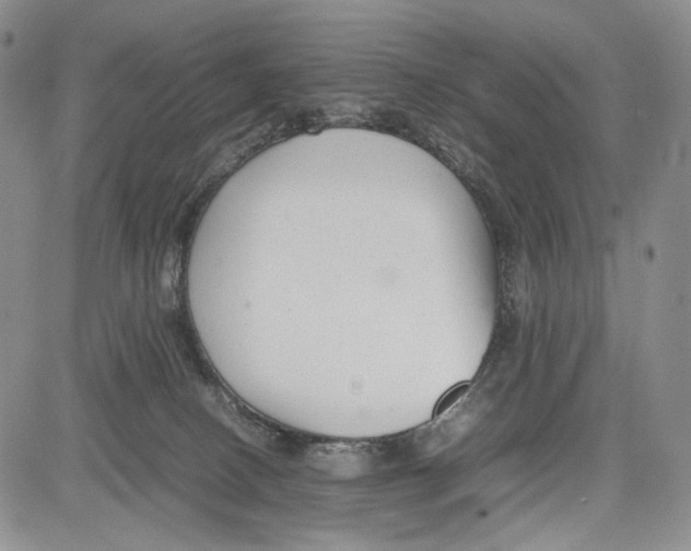 X0000081570082200702051225