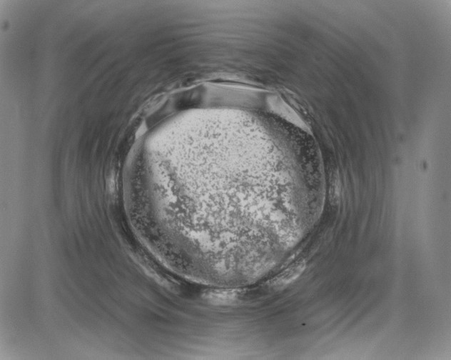 X0000081570084200702051225