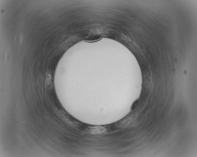 X0000081570087200702051225