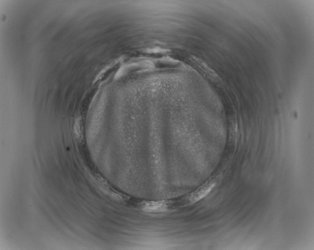 X0000081570088200702051225