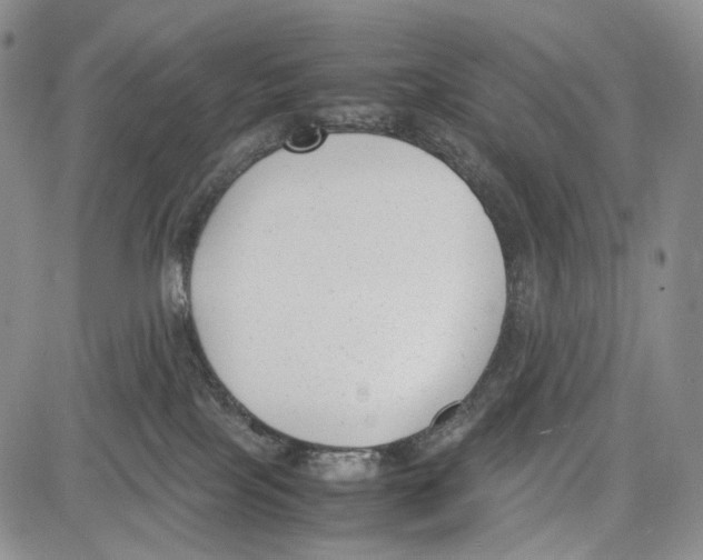 X0000081570089200702051225