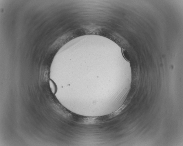 X0000081570090200702051225