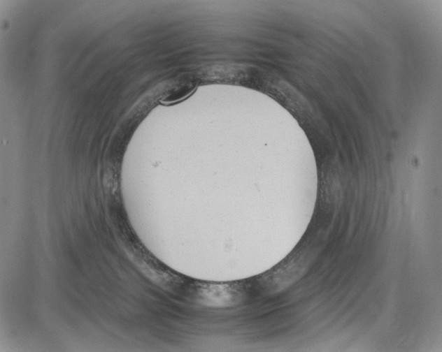 X0000081570091200702051225