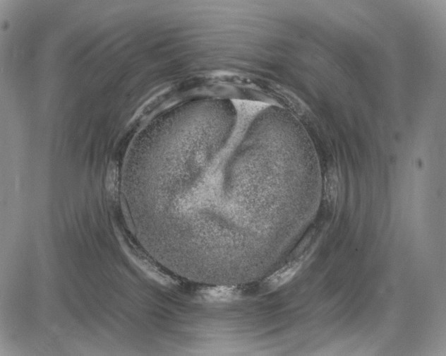 X0000081570092200702051225