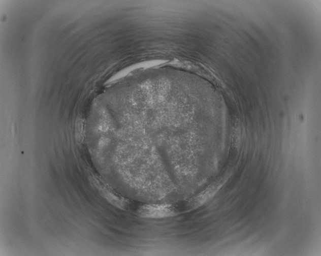 X0000081570093200702051225