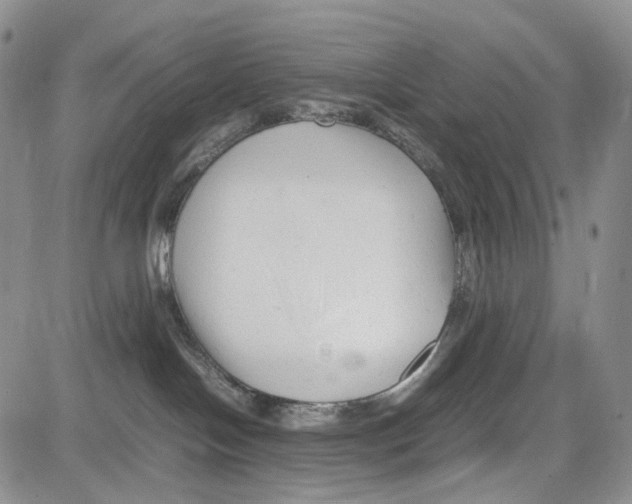 X0000081570094200702051225