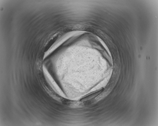 X0000081570096200702051225