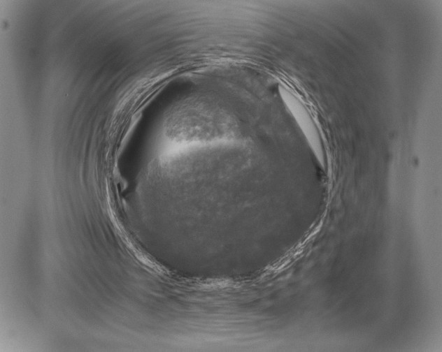 X0000081570097200702051224