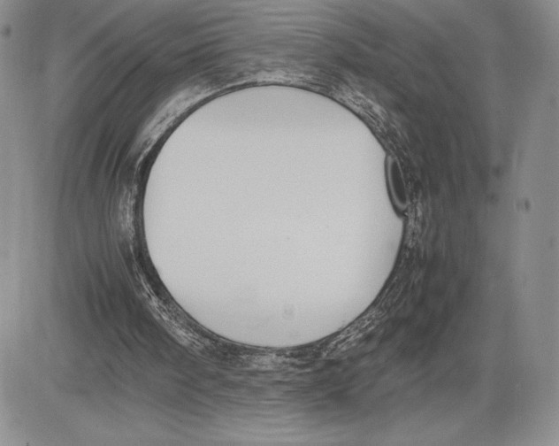 X0000081570098200702051224