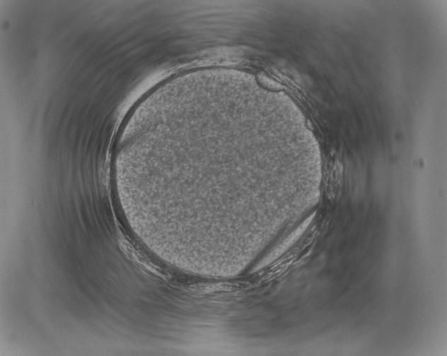 X0000081570100200702051224