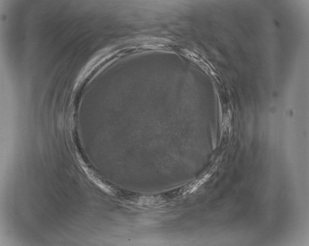 X0000081570101200702051224