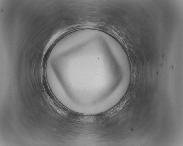 X0000081570102200702051224