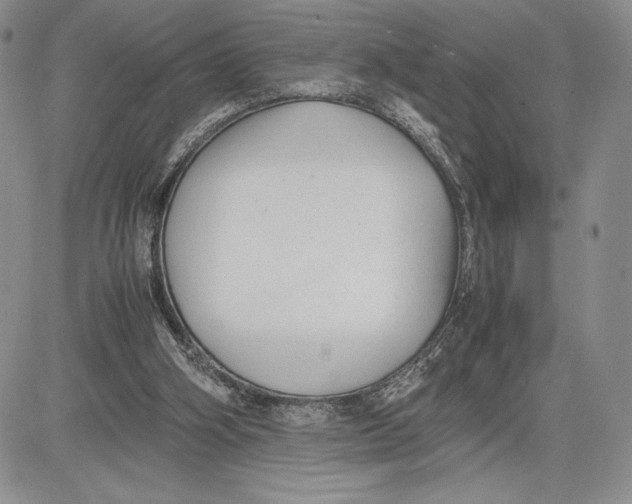 X0000081570106200702051224