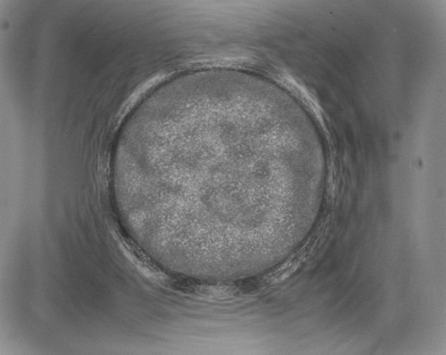 X0000081570107200702051224