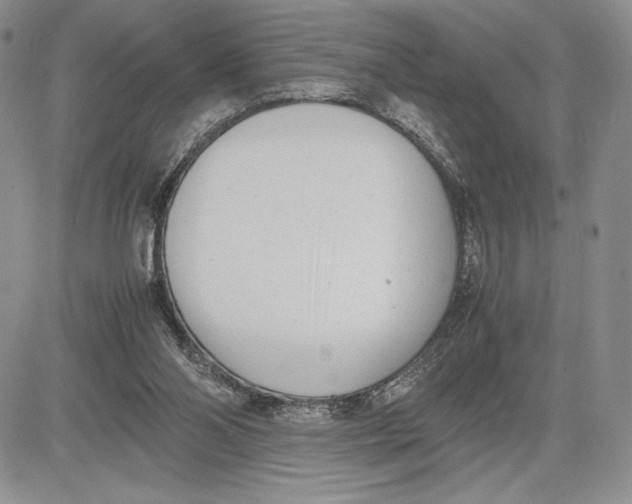 X0000081570110200702051224