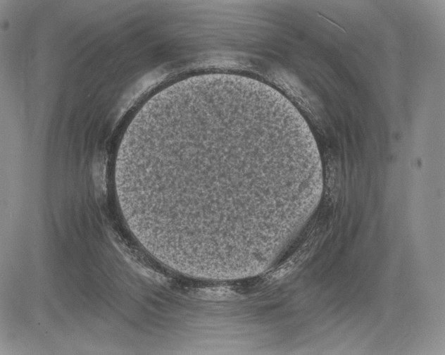 X0000081570112200702051224