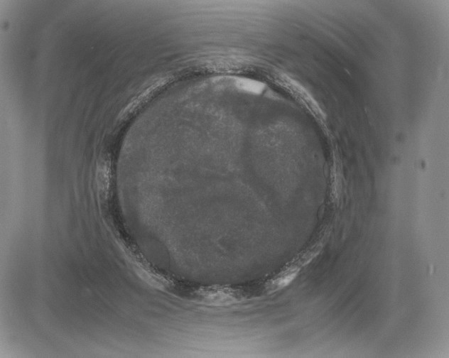 X0000081570113200702051224