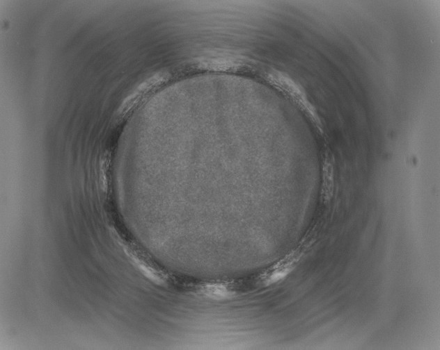 X0000081570114200702051224