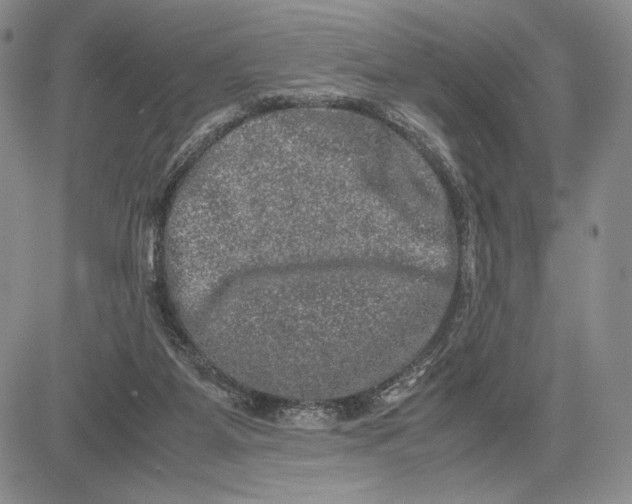 X0000081570115200702051224