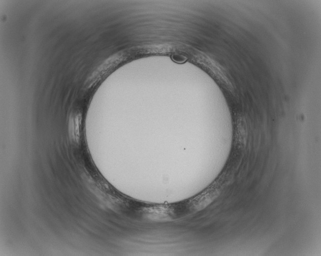 X0000081570118200702051224