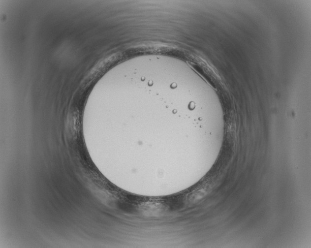 X0000081570119200702051224