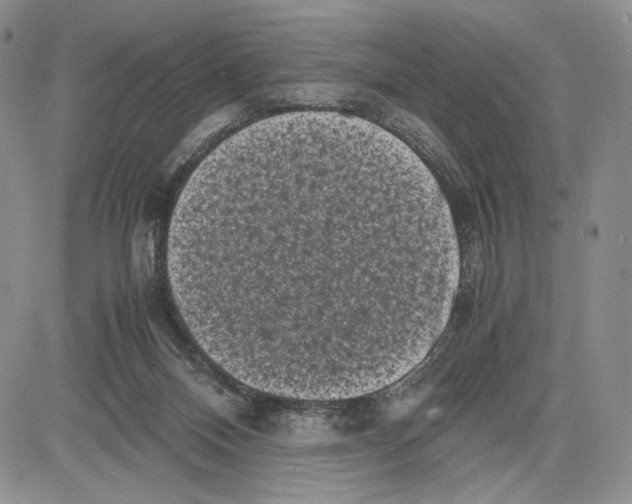 X0000081570120200702051224